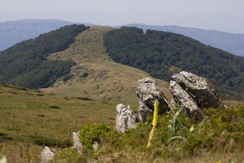 Stará planina (Bulharsko): Není růže bez trní